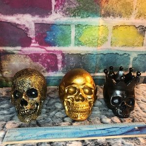 3 Decorative Skulls
